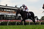 Lonhspresso deserves her chance in Tattersall’s Tiara Lonhspresso deserves her chance in Tattersall’s Tiara