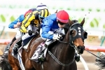 Unchain My Heart gets a spot in Caulfield Cup Field Unchain My Heart gets a spot in Caulfield Cup Field