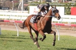 Cooldini To Begin Sydney Cup Campaign This Weekend