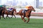 Euro Angel to chase more riches after Ladies’ Day Vase win Euro Angel to chase more riches after Ladies’ Day Vase win