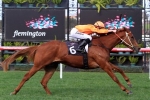Ladies’ Day Vase Betting: Euro Angel Favourite Ladies’ Day Vase Betting: Euro Angel Favourite