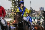 Bendigo Cup 2015: Araldo Junior To Push Forward