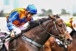 Parnham Books Dual Sandown Rides on Boxing Day