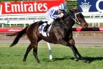 Club Command To Make Sydney Racing Debut In Razor Sharp Handicap