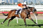Star Rolling Primed for Lord Stakes