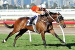 Star Rolling Primed for Lord Stakes Star Rolling Primed for Lord Stakes