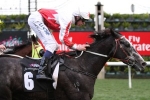 2017 Adelaide Cup Odds: Master Of Arts remains solid 2017 Adelaide Cup Odds: Master Of Arts remains solid