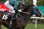 Odyssey Moon still in the betting despite wide barrier in Telegraph Odyssey Moon still in the betting despite wide barrier in Telegraph