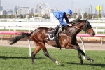 Trenchant Drifting in Taj Rossi Series Final Betting Markets Trenchant Drifting in Taj Rossi Series Final Betting Markets