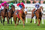 Sandown Stakes For Charmed Harmony Sandown Stakes For Charmed Harmony