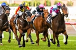 Ringo To Join Price Stable For Spring Campaign Ringo To Join Price Stable For Spring Campaign