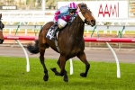 Akavoroun Set For Spring Racing Carnival Campaign