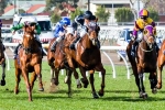 Steeplechase Options For King Of Dudes Following Grand National Hurdle Steeplechase Options For King Of Dudes Following Grand National Hurdle