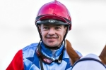 Count Of Limonade to line up in Ballarat Cup Count Of Limonade to line up in Ballarat Cup