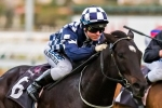 No luxury odds for Nautical in Blazer Stakes No luxury odds for Nautical in Blazer Stakes