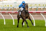 Sadler Delighted With Vain Queen Ahead Of All Victorian Sprint Series Final Sadler Delighted With Vain Queen Ahead Of All Victorian Sprint Series Final