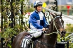 Zebulon Up To Caulfield Guineas Standard