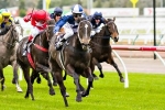 Caulfield Guineas Goal For Zebulon Caulfield Guineas Goal For Zebulon