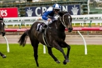 Zebulon To Need Luck In 2014 Caulfield Guineas Zebulon To Need Luck In 2014 Caulfield Guineas