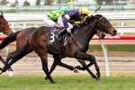 Black Type Win On Offer For Spitfire Lady In Gai Waterhouse Classic