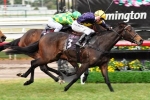 Gauci blames new boots for Bendigo fall Gauci blames new boots for Bendigo fall