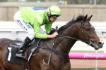 Caulfield Guineas favourite Royal Symphony needs to tune up barrier manners