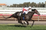 Lindop and Macdonald warm up for Adelaide Cup with Counter Pulse win Lindop and Macdonald warm up for Adelaide Cup with Counter Pulse win
