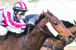 Shannon Stakes fancy Akavoroun could be surprsie Epsom runner