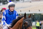 Elwaaryya To Make Australian Racing Debut At Moonee Valley Elwaaryya To Make Australian Racing Debut At Moonee Valley