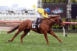 Memsie Stakes an Option for Sooboog Memsie Stakes an Option for Sooboog