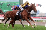 Nine Confirmed in Tasmanian Stakes Field