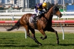 Moroney Rates About Square A Winning Chance In Fiesta Star Handicap Moroney Rates About Square A Winning Chance In Fiesta Star Handicap