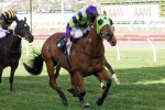 If It’s Broken It Works in Aurie’s Star Handicap If It’s Broken It Works in Aurie’s Star Handicap