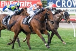Pocket Rockets Set For Hawkesbury Rush Pocket Rockets Set For Hawkesbury Rush