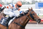 Pocket Rockets set to launch an Oakleigh Plate campaign