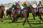Tuscan Fire At His Peak For Ballarat Cup