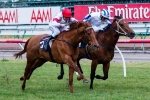 Shanghai Warrior In Great Shape For Aurie’s Star Handicap