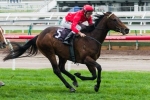 Rodd Happy With Wide Magic Millions Guineas Barrier For Charlie Boy Rodd Happy With Wide Magic Millions Guineas Barrier For Charlie Boy