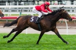 Caulfield Guineas Prelude Or Sir Rupert Clarke Stakes For Charlie Boy Caulfield Guineas Prelude Or Sir Rupert Clarke Stakes For Charlie Boy