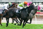 Commanding Jewel Ruled Out Of Tattersall’s Tiara Commanding Jewel Ruled Out Of Tattersall’s Tiara