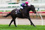 Nadeem Lass Eyeing Bletchingly Stakes Nadeem Lass Eyeing Bletchingly Stakes