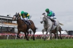 Hornets’ Nest to Tackle Dato’ Tan Chin Nam Stakes Hornets’ Nest to Tackle Dato’ Tan Chin Nam Stakes