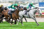 Puissance De Lune to improve going into the Makybe Diva Stakes
