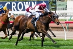 Snowden Happy With Long John Ahead Of Caulfield Guineas Prelude