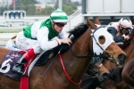 Drying conditions to test Speediness in Victory Stakes Drying conditions to test Speediness in Victory Stakes