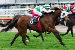 Speediness Impresses In Trackwork Before Victory Stakes