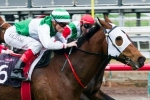 2014 Sandown Stakes nominations: rain the key for Speediness 2014 Sandown Stakes nominations: rain the key for Speediness