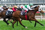 Speediness Included In Sandown Stakes Field Speediness Included In Sandown Stakes Field
