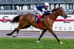 Excluded Working Well Ahead Of P.B. Lawrence Stakes Return Excluded Working Well Ahead Of P.B. Lawrence Stakes Return