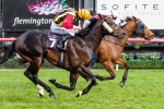 Gollan in Good Spirits for Newmarket Gollan in Good Spirits for Newmarket